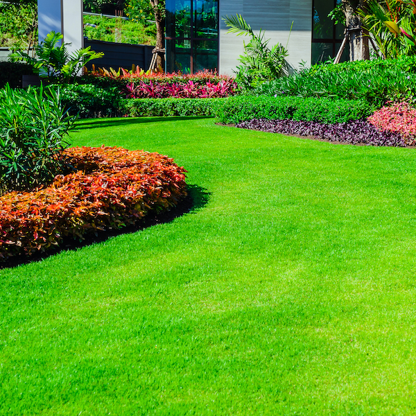 commercial gardening Bradford